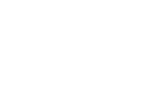 Logo de INÉS